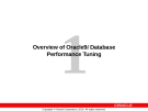 Overview of Oracle9i Database Performance Tuning