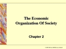 The Economic Organization Of Society