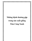 Những bệnh thường gặp trong sản xuất giống Tôm Càng Xanh