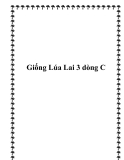 Giống Lúa Lai 3 dòng C