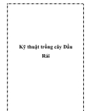 Kỹ thuật trồng cây Dầu Rái