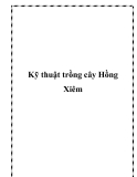 Kỹ thuật trồng cây Hồng Xiêm