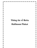 Thông tin Betta Halfmoon Plakat