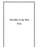 Tìm hiểu về cây Mao Trúc