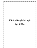 Cách phòng bệnh ngù đọt ở Bầu