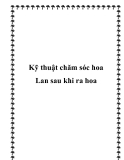 Kỹ thuật chăm sóc hoa Lan sau khi ra hoa