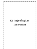 Kỹ thuật trồng Lan Dendrobium