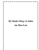 Kỹ thuật trồng và chăm sóc Hoa Lan