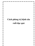 Cách phòng trị bệnh sâu ruồi đục quả