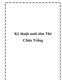 Kỹ thuật nuôi tôm Thẻ Chân Trắng