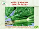 Quản lý bệnh hại cây họ đậu  ( Nguyễn Văn Thiệu)