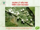 Quản lý sâu hại cây họ đậu  ( Nguyễn Văn Thiệu)