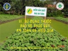 Sử dụng thuốc bảo vệ thực vật an toàn và hiệu quả  ( Nguyễn Văn Thiệu)