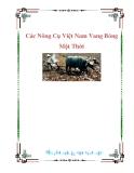 Các Nông Cụ Việt Nam Vang Bóng Một Thời