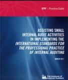 INTERNATIONAL STANDARDS FOR THE PROFESSIONAL PRACTICE OF   INTERNAL AUDITING (STANDARDS)