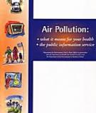 Air Pollution: what it means for your health  • the public information service