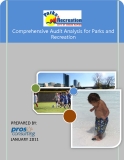 Comprehensive Audit Analysis for Parks and Recreation 