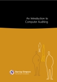 An Introduction to  Computer Auditing