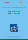 Guidelines on Credit Risk Management: Rating Models and Validation