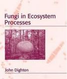 Fungi in the Ecosystem Processes