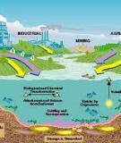 ENVIRONMENTAL IMPACT OF HEAVY METAL POLLUTION IN NATURAL AQUATIC SYSTEMS