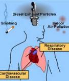 OUTDOOR AIR POLLUTION: ASSESSING THE ENVIRONMENTAL BURDEN OF DISEASE AT NATIONAL AND LOCAL LEVELS