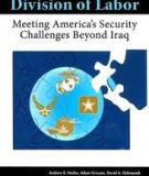 A New Division of Labor - Meeting America’s Security Challenges Beyond Iraq
