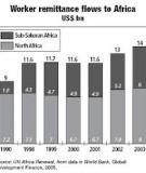 INTERNATIONAL FINANCIAL FLOWS AND WORKER  REMITTANCES:  BEST PRACTICES