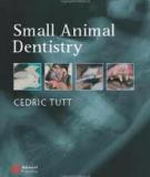 Small Animal Dentistry A manual of techniques