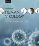 Human Virology_1
