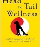 Head to Tail Wellness Western Veterinary Medicine Meets Eastern Wisdom
