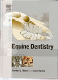 Equine Dentistry (2nd edition)