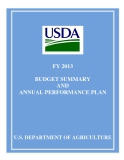 FY 2013    BUDGET SUMMARY  AND  ANNUAL PERFORMANCE PLAN 