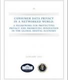 CONSUMER DATA PRIVACY IN A NETWORKED WORLD: A FRAMEWORK FOR PROTECTING PRIVACY AND PROMOTING INNOVATION IN THE GLOBAL DIGITAL ECONOMY