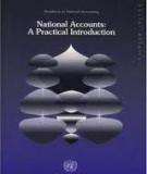 NATIONAL ACCOUNTS: A PRACTICAL INTRODUCTION