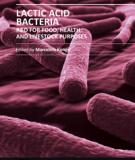 LACTIC ACID BACTERIA – R & D FOR FOOD, HEALTH AND LIVESTOCK PURPOSES