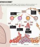 How air pollution influences clinical management of respiratory diseases. A case-crossover study in Milan