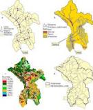 Assessment of diffuse water pollution load from an  urban catchment in India 