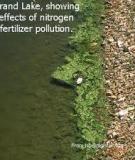 Surface Water Pollution by Nitrogen Fertilizers
