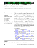 Báo cáo khoa học: Interaction of 42Sp50 with the vegetal RNA localization machinery in Xenopus laevis oocytes