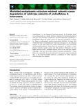 Báo cáo khoa học: Misfolded endoplasmic reticulum retained subunits cause degradation of wild-type subunits of arylsulfatase A heteromers