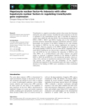 Báo cáo khoa học: Hepatocyte nuclear factor-4a interacts with other hepatocyte nuclear factors in regulating transthyretin gene expression