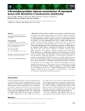 Báo cáo khoa học: 5-Bromodeoxyuridine induces transcription of repressed genes with disruption of nucleosome positioning