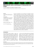 Báo cáo khoa học: Resolving the native conformation ofEscherichia coli OmpA