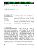 Báo cáo khoa học: The molecular identity of the mitochondrial Ca2+ sequestration system