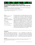 Báo cáo khoa học: The multicopper oxidase from the archaeon Pyrobaculum aerophilum shows nitrous oxide reductase activity