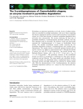 Báo cáo khoa học: The 3-ureidopropionase of Caenorhabditis elegans, an enzyme involved in pyrimidine degradation