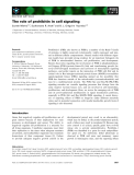 Báo cáo khoa học: The role of prohibitin in cell signaling