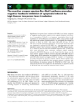 Báo cáo khoa học: The reactive oxygen species–Src–Stat3 pathway provokes negative feedback inhibition of apoptosis induced by high-fluence low-power laser irradiation