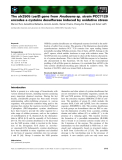 Báo cáo khoa học: The alr2505 (osiS) gene from Anabaena sp. strain PCC7120 encodes a cysteine desulfurase induced by oxidative stress